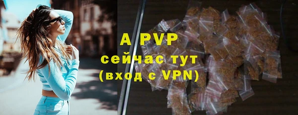 дживик Чекалин
