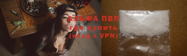дживик Чекалин