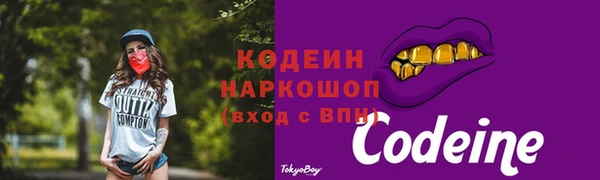 меф Чердынь
