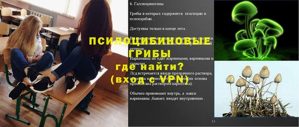 дживик Чекалин